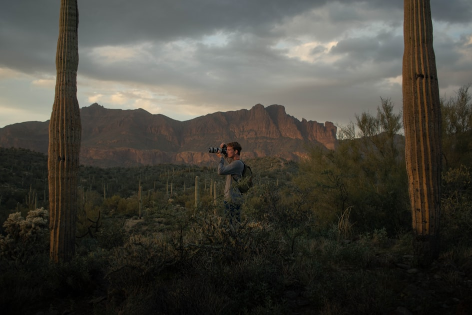 Top Hiking Trails in Tucson
